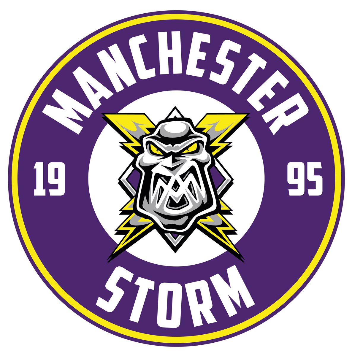 Manchester Storm | #Homecoming tweet media