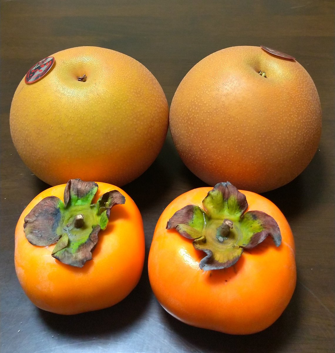 fuku様 キャンプ系YouTuber「FUKU」コラボモデル – Q&Q SmileSolar