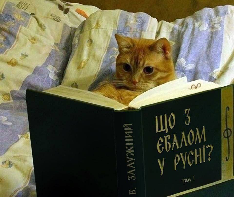 n_asty11's tweet photo. @Defeatnik @JayinKyiv https://t.co/l4MN5JR2sI