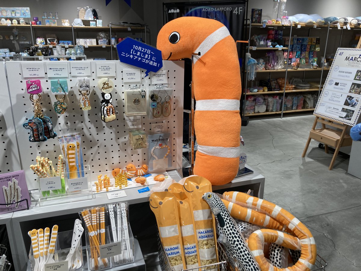本日、5F LIBRARY AQUARIUMにて2種類の生物の展示を開始しました