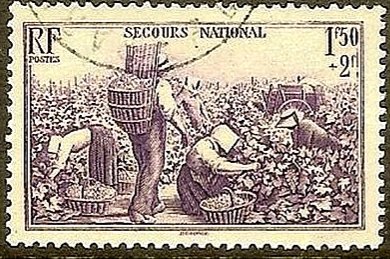 amigosfilatelia's tweet image. #LaPalabraDelDía
#Algodón
Fibra textil vegetal que crece alrededor de las semillas de la planta del algodón, arbusto del género Gossypium, originario de las regiones tropicales y subtropicales. Hay diferentes especies autóctonas en América, África o la India. 
#Filatelia #CAF