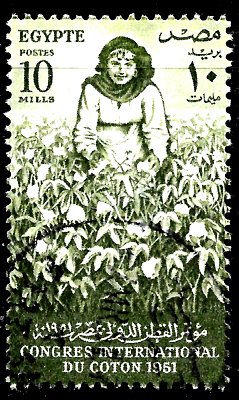 amigosfilatelia's tweet image. #LaPalabraDelDía
#Algodón
Fibra textil vegetal que crece alrededor de las semillas de la planta del algodón, arbusto del género Gossypium, originario de las regiones tropicales y subtropicales. Hay diferentes especies autóctonas en América, África o la India. 
#Filatelia #CAF