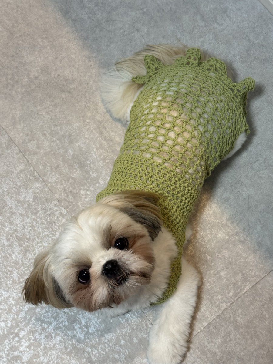 たかこ様☆犬服☆ハンドメイドオーダー‪☆4着✩.*˚ たかこ様☆犬服☆ハンドメイドオーダー☆4着✩.*˚ たかこ様