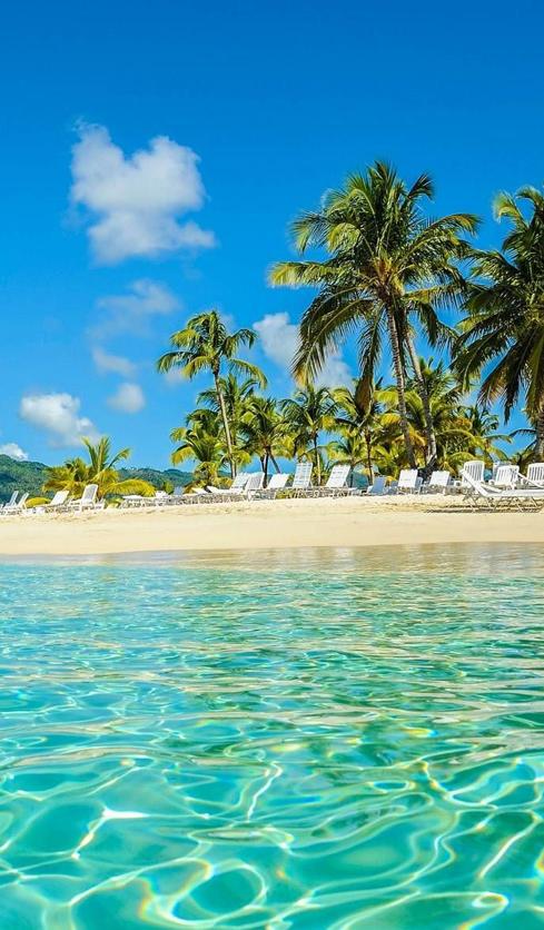 daniel29124280's tweet image. 心は少ないです 😯