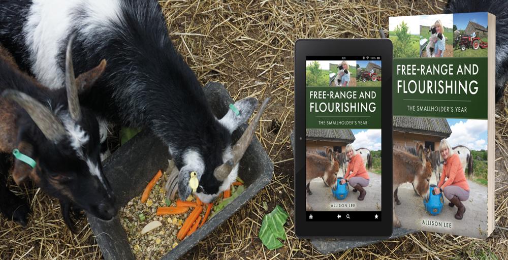 #NewBook ‘Free-Range and Flourishing’ by Allison Lee offers valuable guidance to anyone seeking to embrace this aspect of rural life.
#Agriculture #Farming #Smallholdings
quillerpublishing.com/product/free-r…