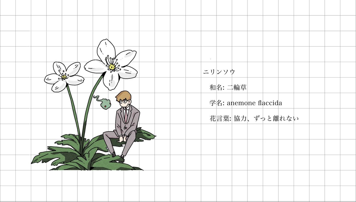 アネモネとひまわり アソートパック あさがお×ひまわり こどもと楽しむ｜種（タネ