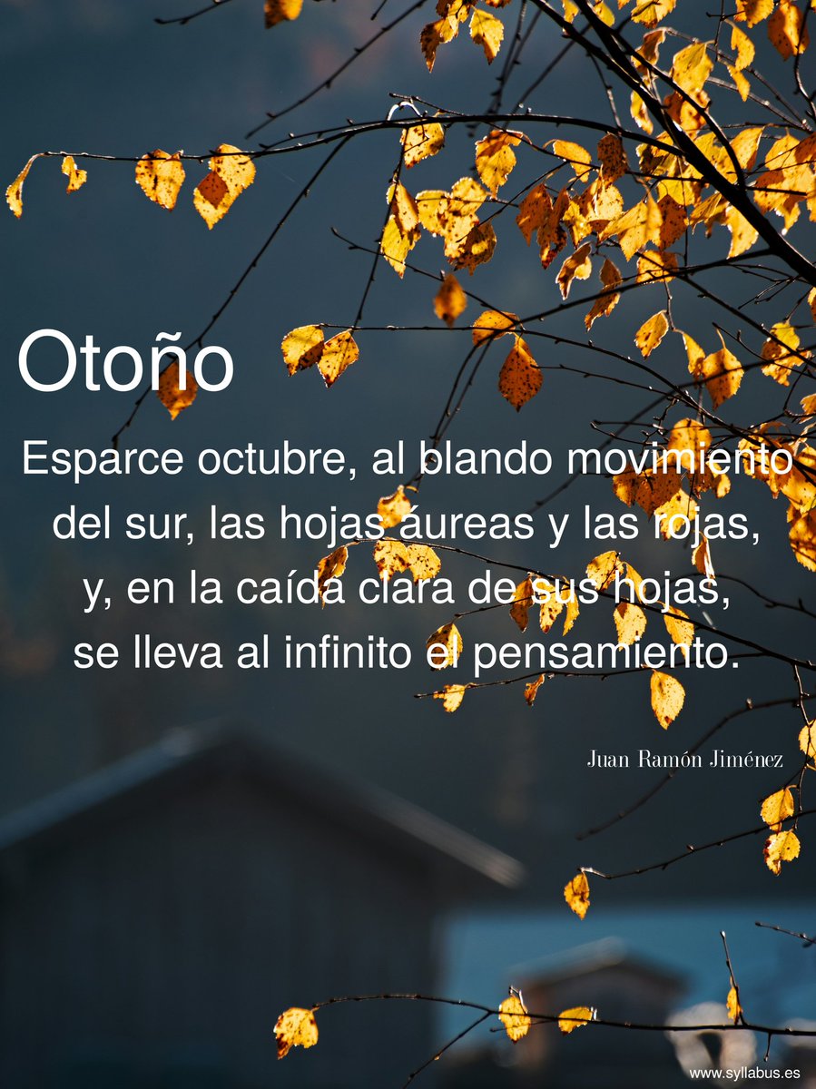 Syllabus_'s tweet image. #Otoño