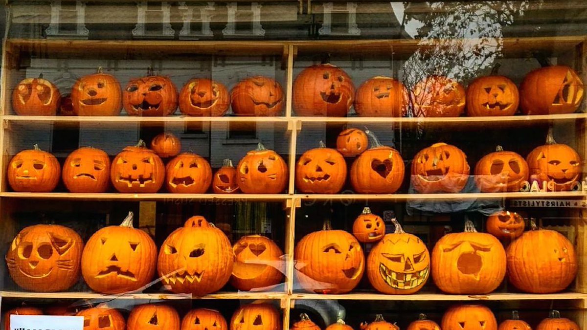 The 10 best things to do this week in Toronto streetsoftoronto.com/toronto-cultur…