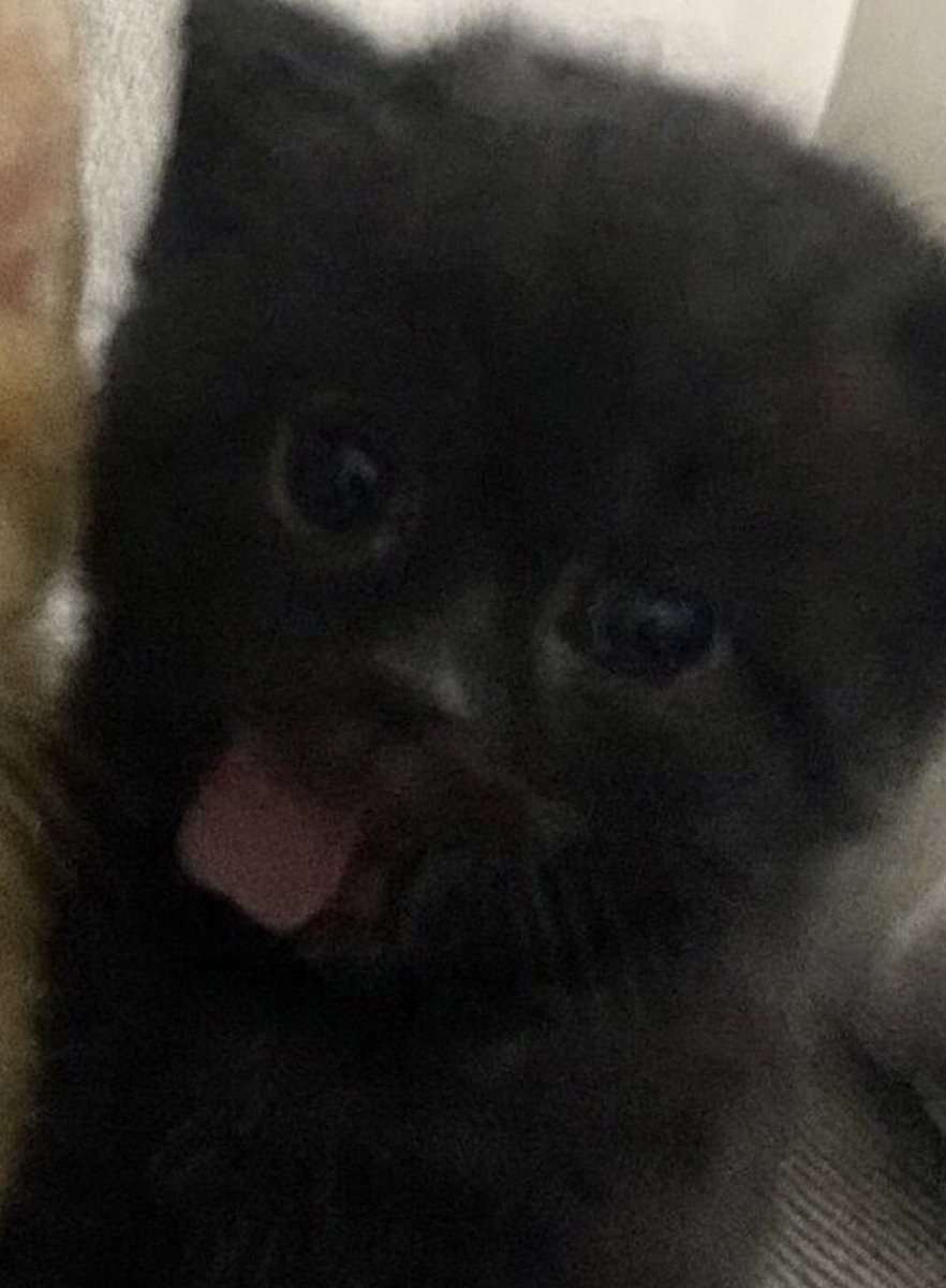 동민과 태산 tweet media