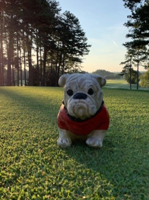 UGAGolfCourse's tweet image. The driving range is closed today, October 27. The golf shop and course are open as of 8AM, but please check back for updates.