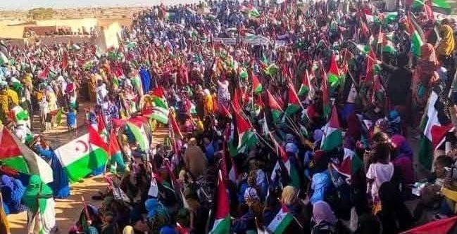 ECSaharaui__'s tweet photo. 📄🇪🇭 Manifestaciones masivas en los campamentos de refugiados saharauis contra el apoyo de Trump al régimen marroquí.

Miles de personas tomas las calles de los campamentos de refugiados saharauis.