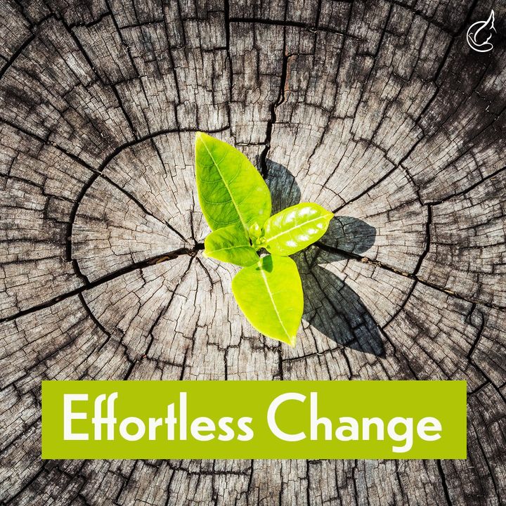 awmeurope's tweet image. Hey, everybody! It’s #FreeTeachingFriday!
If you’ve been apprehensive about change, we have good news for you: you can change effortlessly! In Andrew’s Effortless Change teaching, you’ll learn how to get from where you are to where God wants you to be.
Be freed from the…
