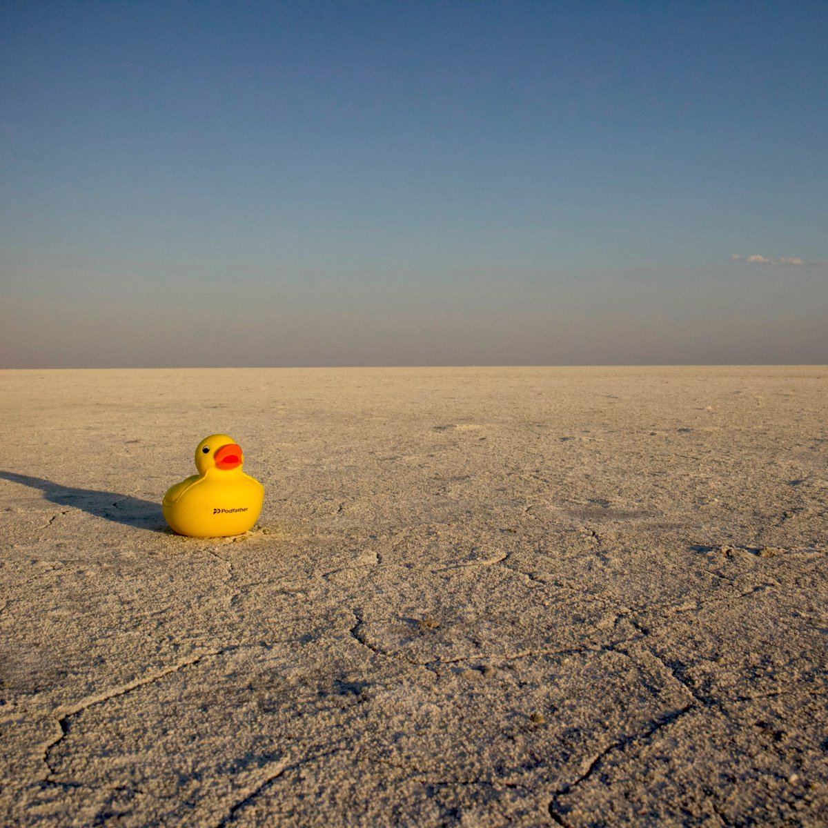 Meet Podduck, our playful mascot who reminds us that logistics doesn’t have to be complicated!

Curious about why Podduck exists and how he fits into our brand? Read more in our blog 👉 thepodfather.com/news/so-what-p…

#Podduck