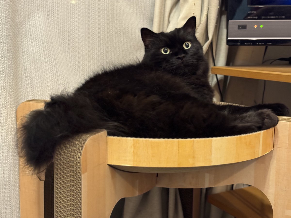 るいるい＝せっつP@鏡音NTお迎え全力準備中 on X