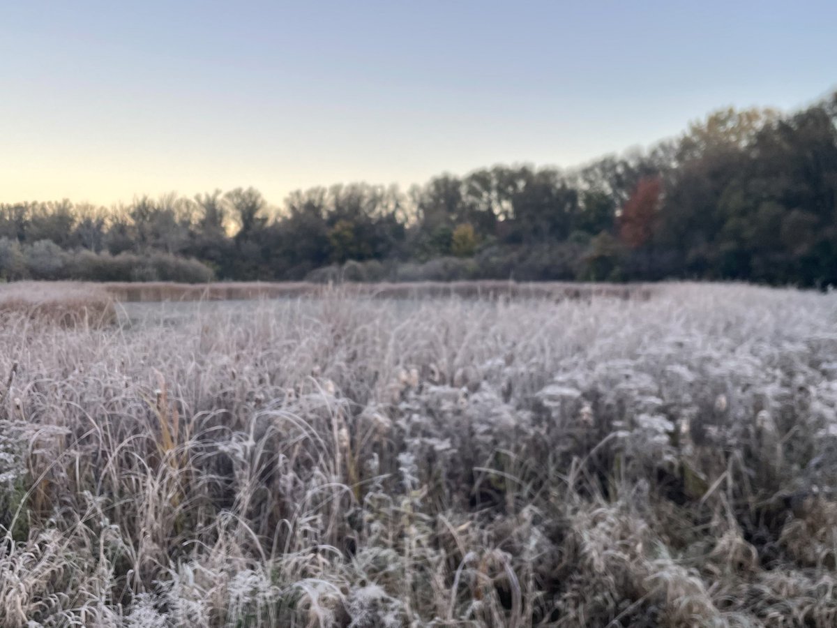TimWBEN's tweet image. A frosty start!
