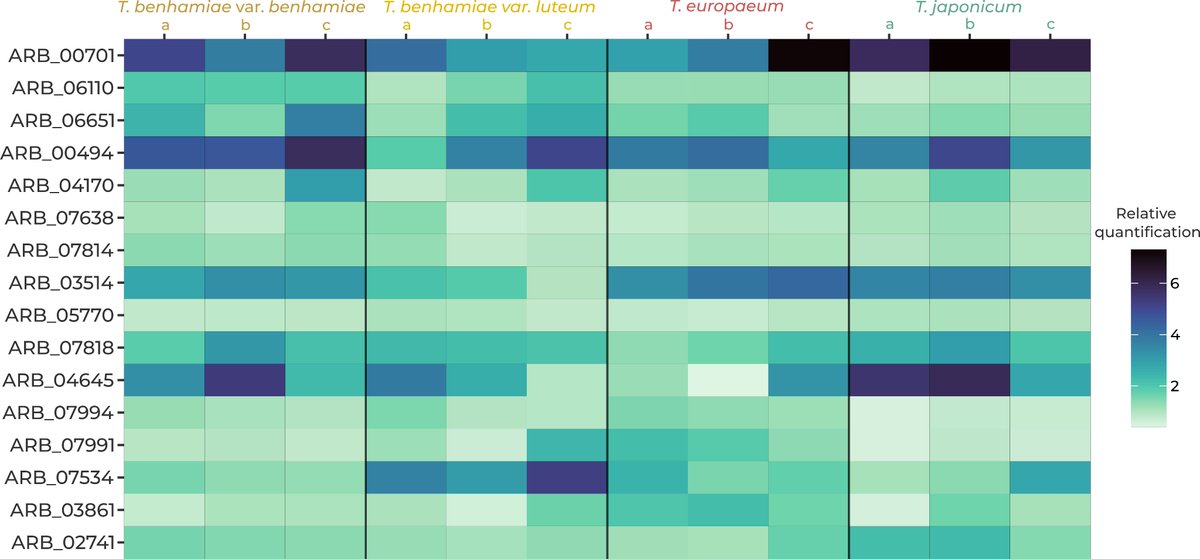 🧬Comparative gene expression analysis in closely related dermatophytes reveals secondary metabolism as a candidate driver of virulence | Machová L, Kostovčík M, Švec K, Hubka V, Kolařík M, Wennrich A.
Microbiology Spectrum journals.asm.org/doi/full/10.11…