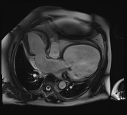 Andy Morley-Smith tweet media