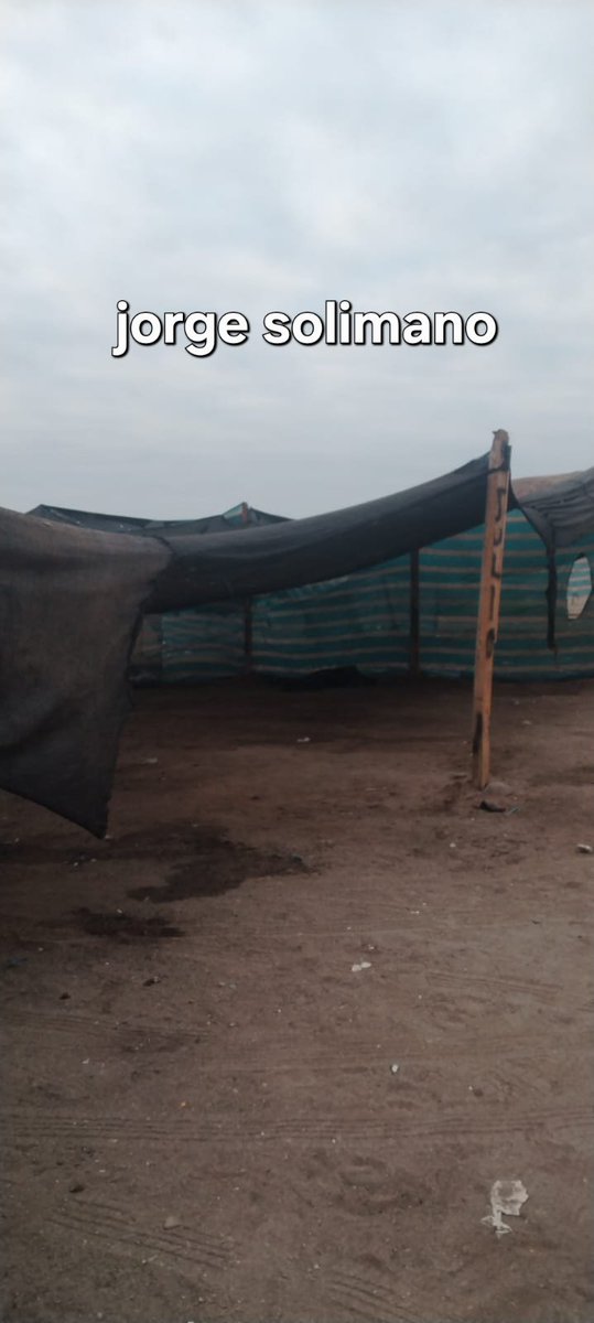 jorgesolimano's tweet image. #iquique familia denuncia que ayer concurrieron a playa palo buque y se encontraron que está tomada