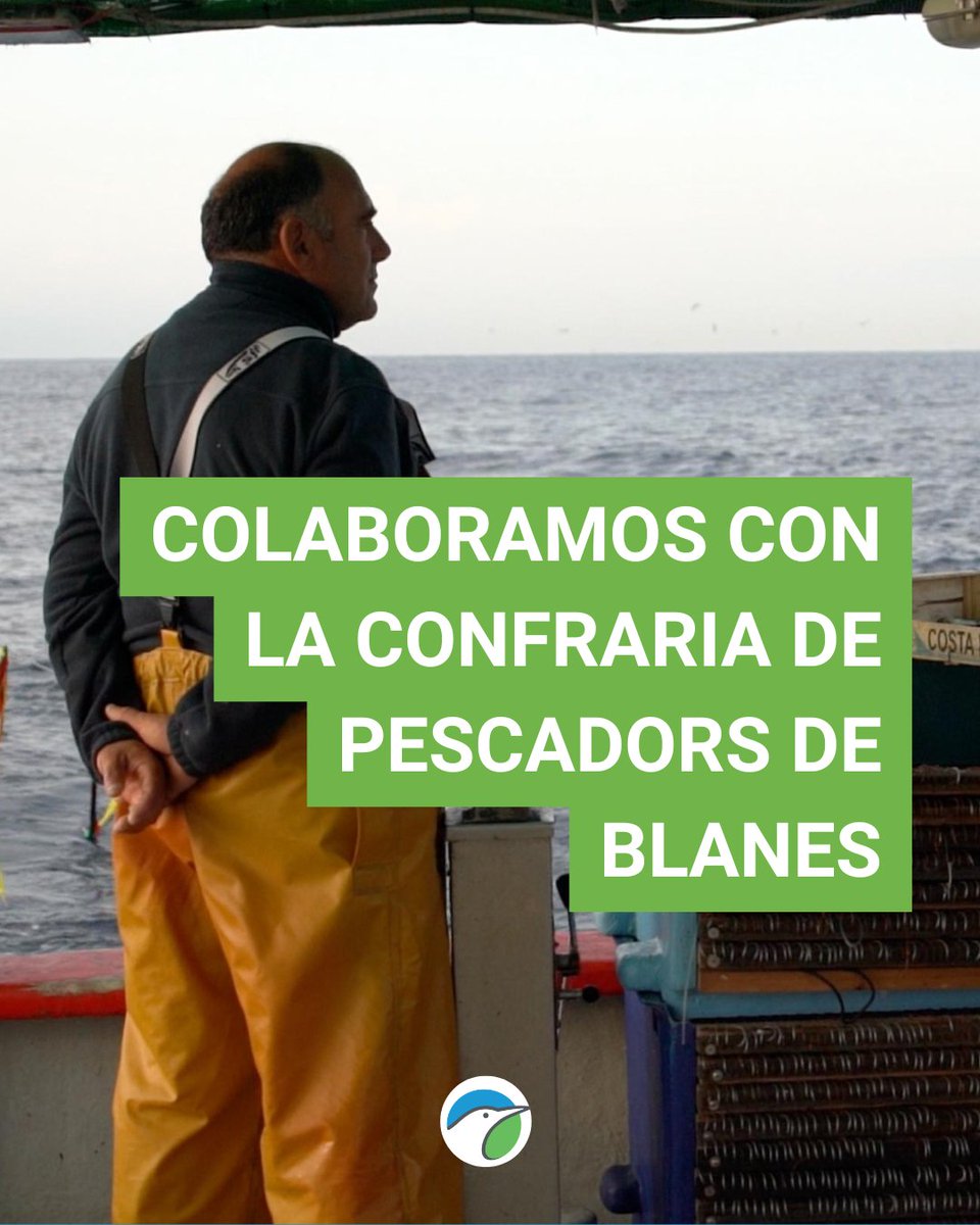 SEO_BirdLife's tweet image. La colaboración con pescadores es la única manera de entender y minimizar las capturas accidentales de aves marinas. 

⛵Es por eso queremos que conozcas un poco más lo que hacemos desde el equipo marino. 

#MARAVES #ProgramaPleamar #FEMPA @FBiodiversidad 

#MitigaciónBycatch