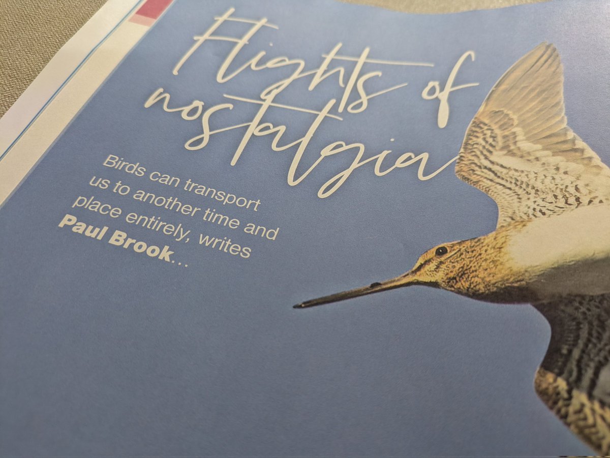 Paul Brook tweet media