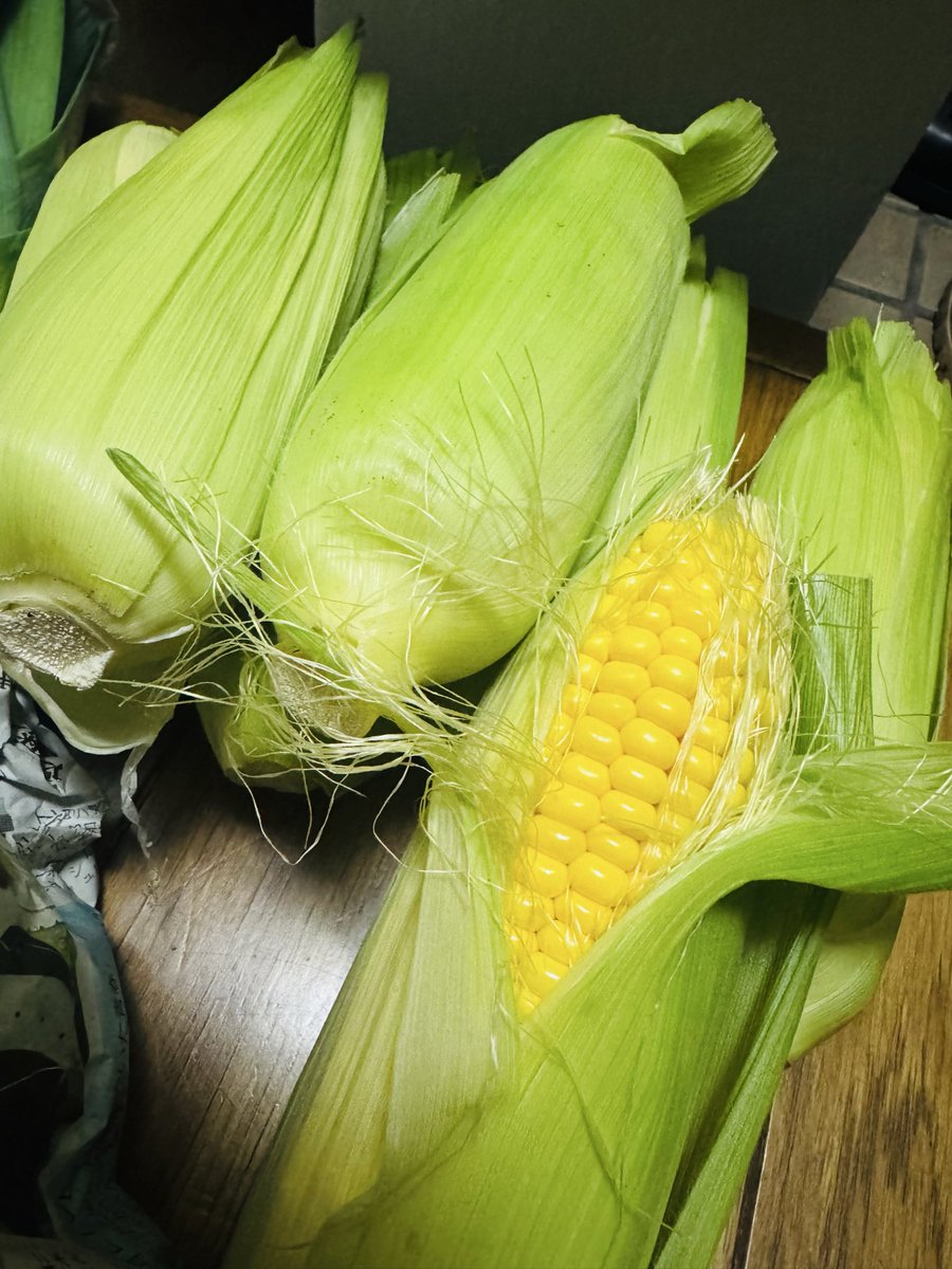 きんぎょページ 光 ～八百屋のお兄さん21年目突入～ on X