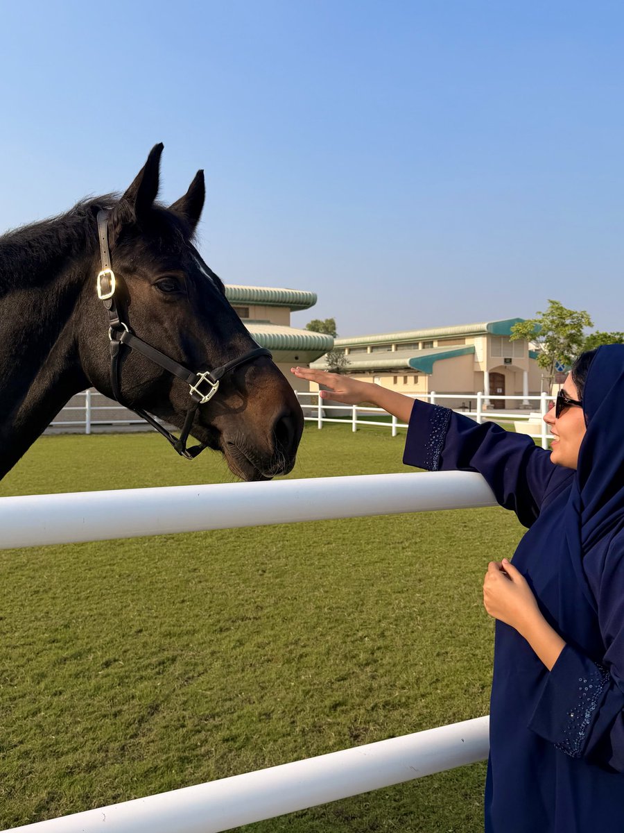 مِن علّم الخيل أن باسمي تناديني 🐎

– محمد بن راشد آل مكتوم