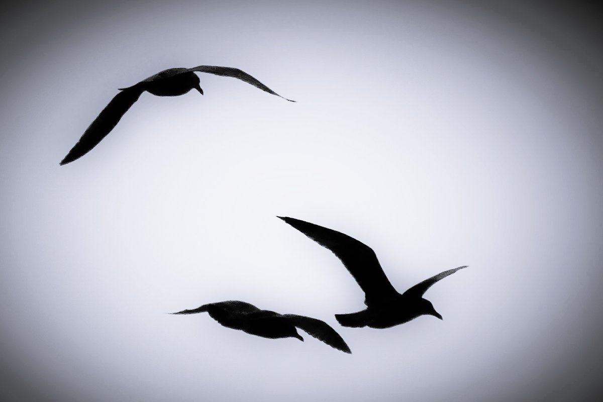 Hastings - 1 October 2022  #1066Tweets #Hastings #hastingsonline #Sussex