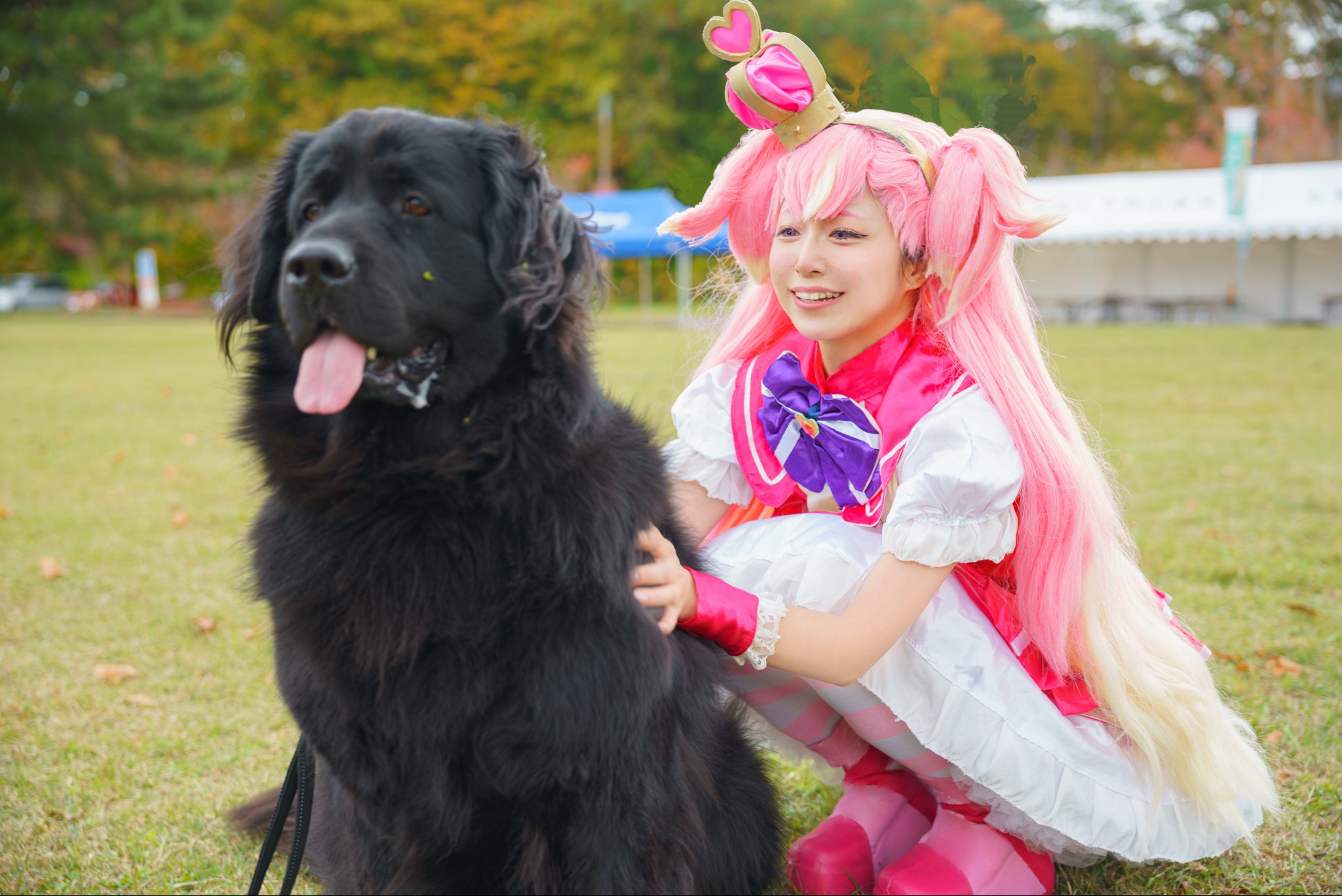 野々みる🐶レイフレ36売り子B19♡ على X: 