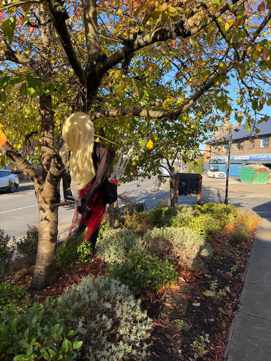 Ecclesfield Library tweet media