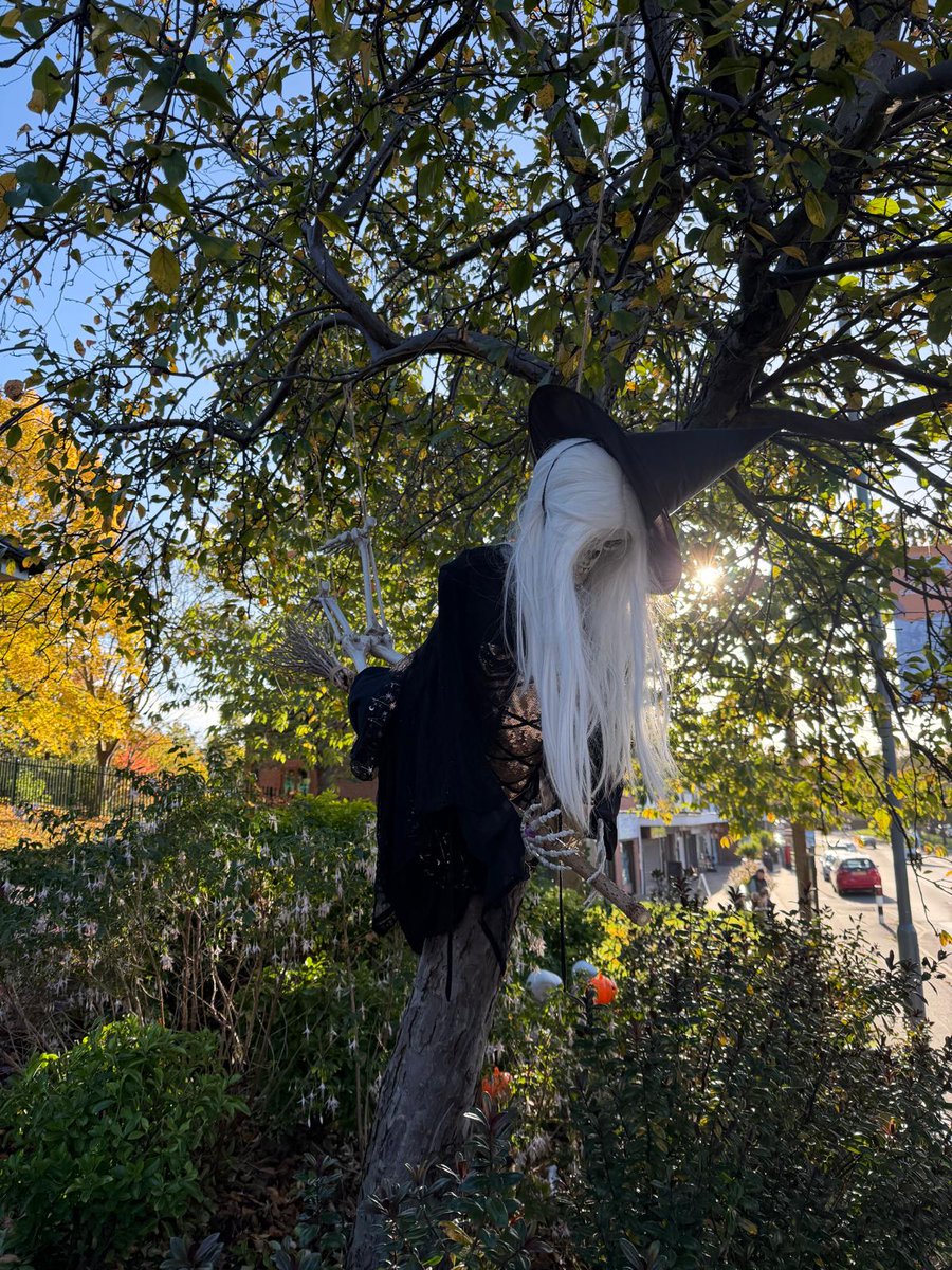 Ecclesfield Library tweet media