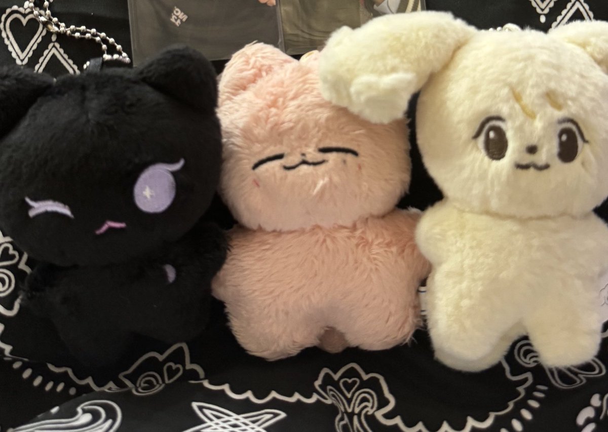yunojjeong's tweet photo. hi, please help rt po! 😭

i lost my tenjaewoo dolls sa cr ng moa, near armani beauty. not 100% sure but that's the place i rmb leaving them. nasa loob sila ng wayv lightstick dustbag. if anyone can help me or find them po, please dm me po. thank you so much 😭😭 https://t.co/qzaFVCbrH7