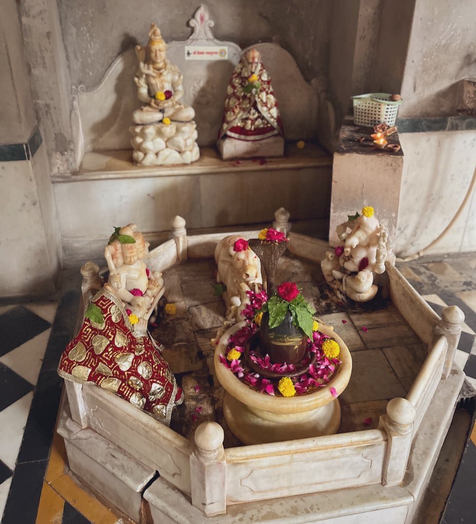 महादेव 🙏🌺