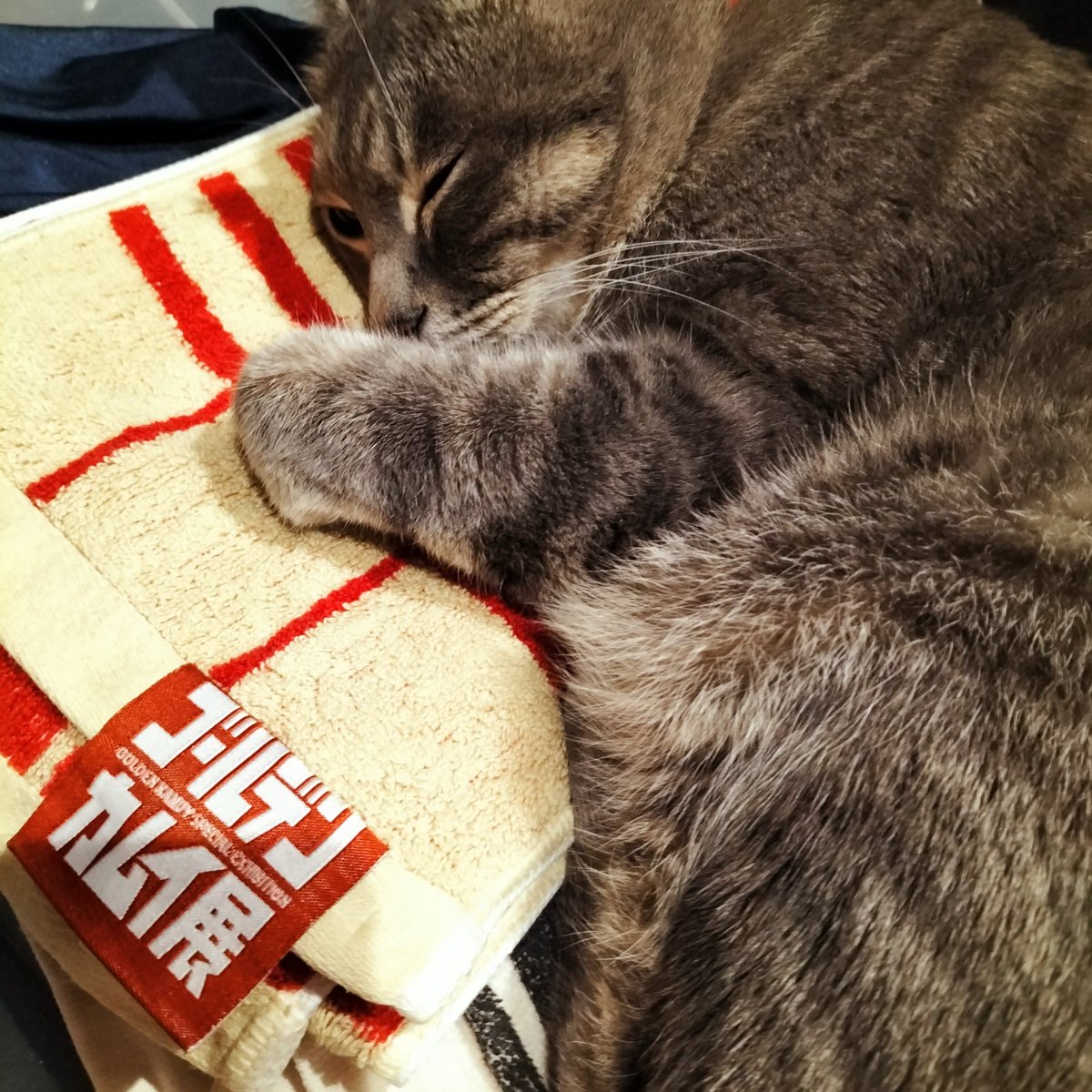 【momi⭐︎ページ】 もみ on X