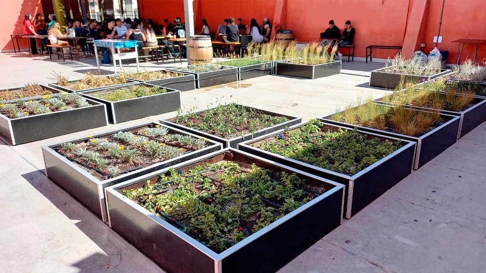 CONICETMendoza's tweet photo. 🔵Inauguran una terraza vegetada en Mendoza como parte de un proyecto liderado por especialistas del CONICET Mendoza

Forma parte de una estrategia de enverdecimiento urbano que complemente el arbolado de calles, las plazas y los parques.

Nota completa 👉 https://t.co/lbeKaX6nJq https://t.co/zywmU1wpYQ