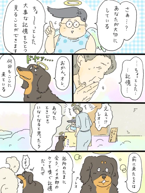 天国での暮らしはどうですか「私のちょっとした記憶」(2/4) 