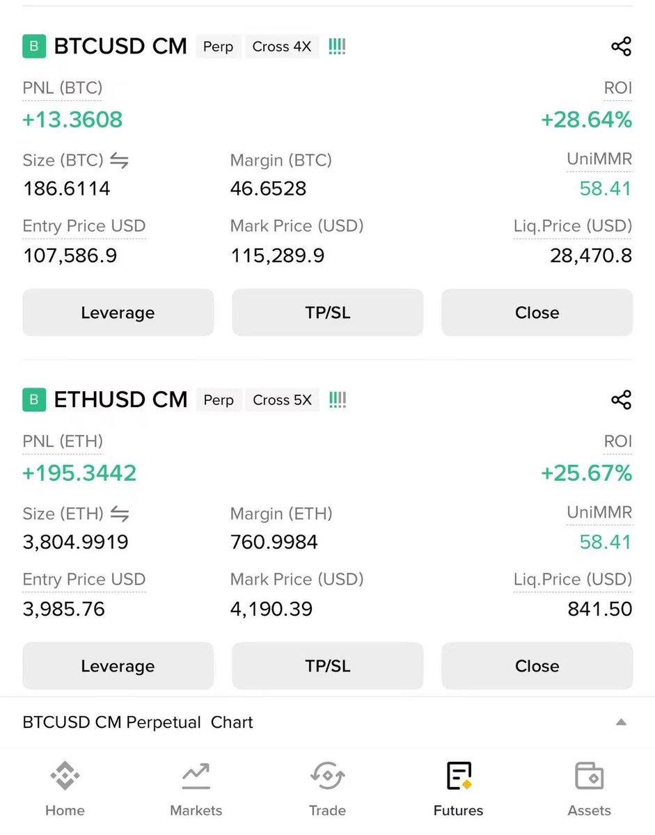 Pickle Cat tweet media