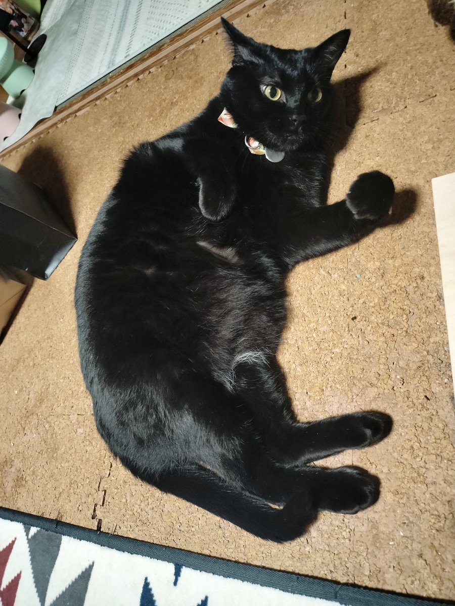 ❤️アカネコ様❤️ wakaneko on X