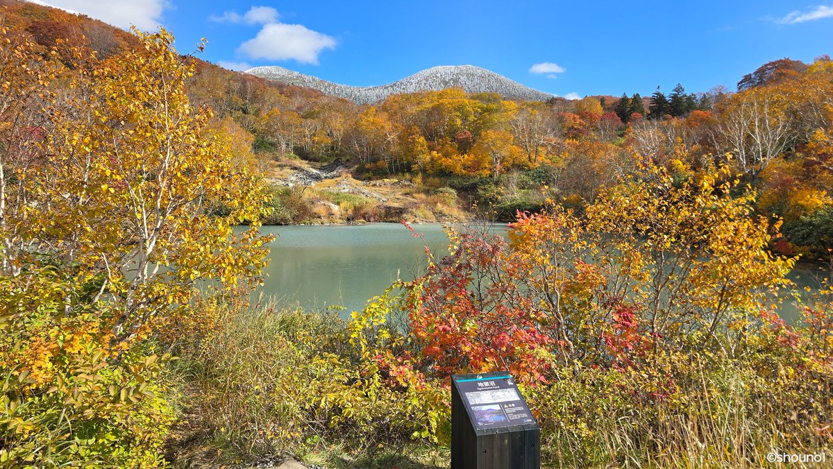 静かな湖 かめ吉 on X