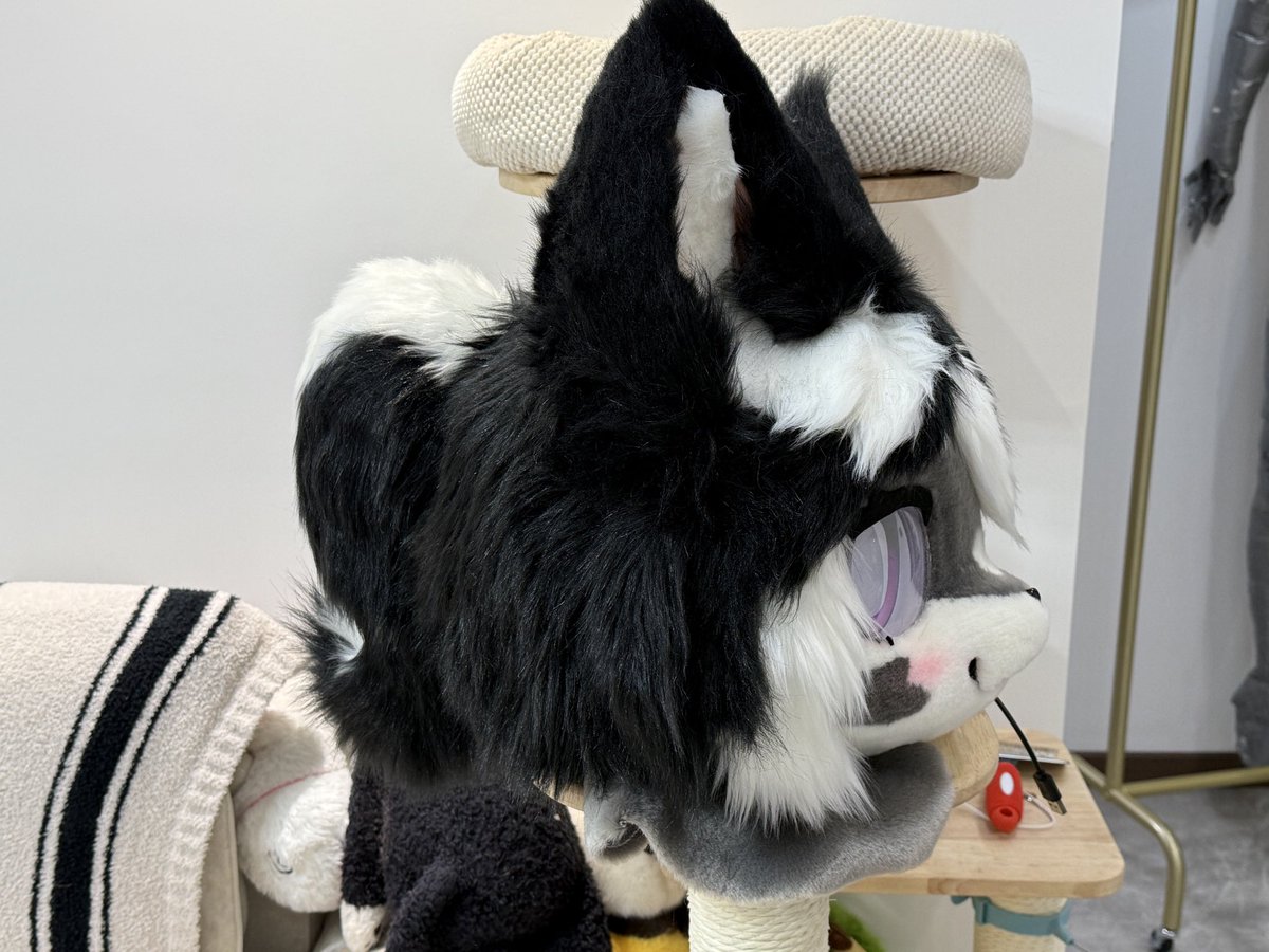 jssabcde's tweet photo. almost finished.

#furry #fursuit #kemono #fursuitmaker #Jsstudio
#kemonosuit https://t.co/d5f2GO9LBl