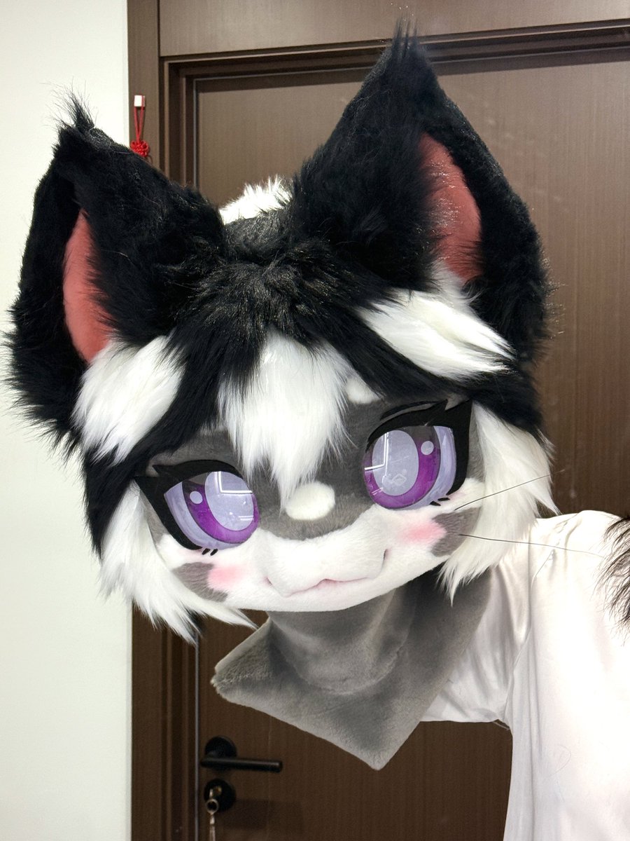 jssabcde's tweet photo. almost finished.

#furry #fursuit #kemono #fursuitmaker #Jsstudio
#kemonosuit https://t.co/d5f2GO9LBl