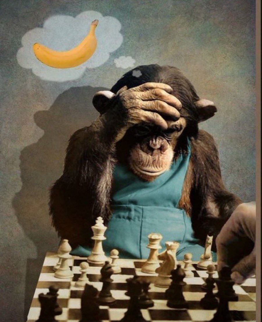 gs şampiyon oluyor diye bok atmaya çalışan fenerliler soruşturmadan sonra her sene aralıkta havlu atıp 5. olmaya başlayınca