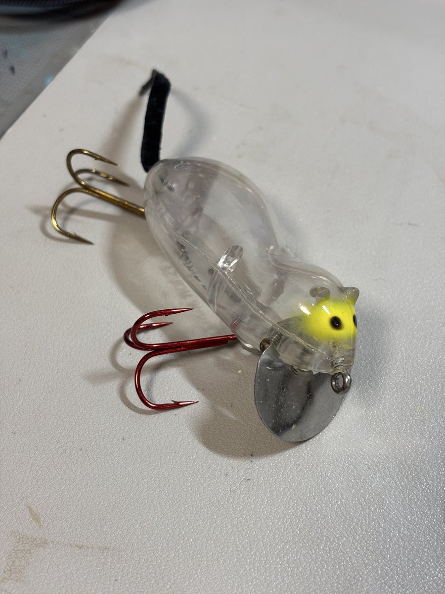 STB_sammy (@STB_Sammy) / Posts / X