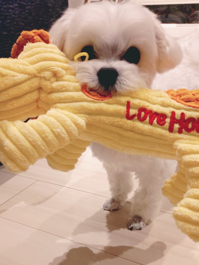 にこまる 8980274560 8-98027456-0 New 1pc Oil Sensor Fits For Hitachi