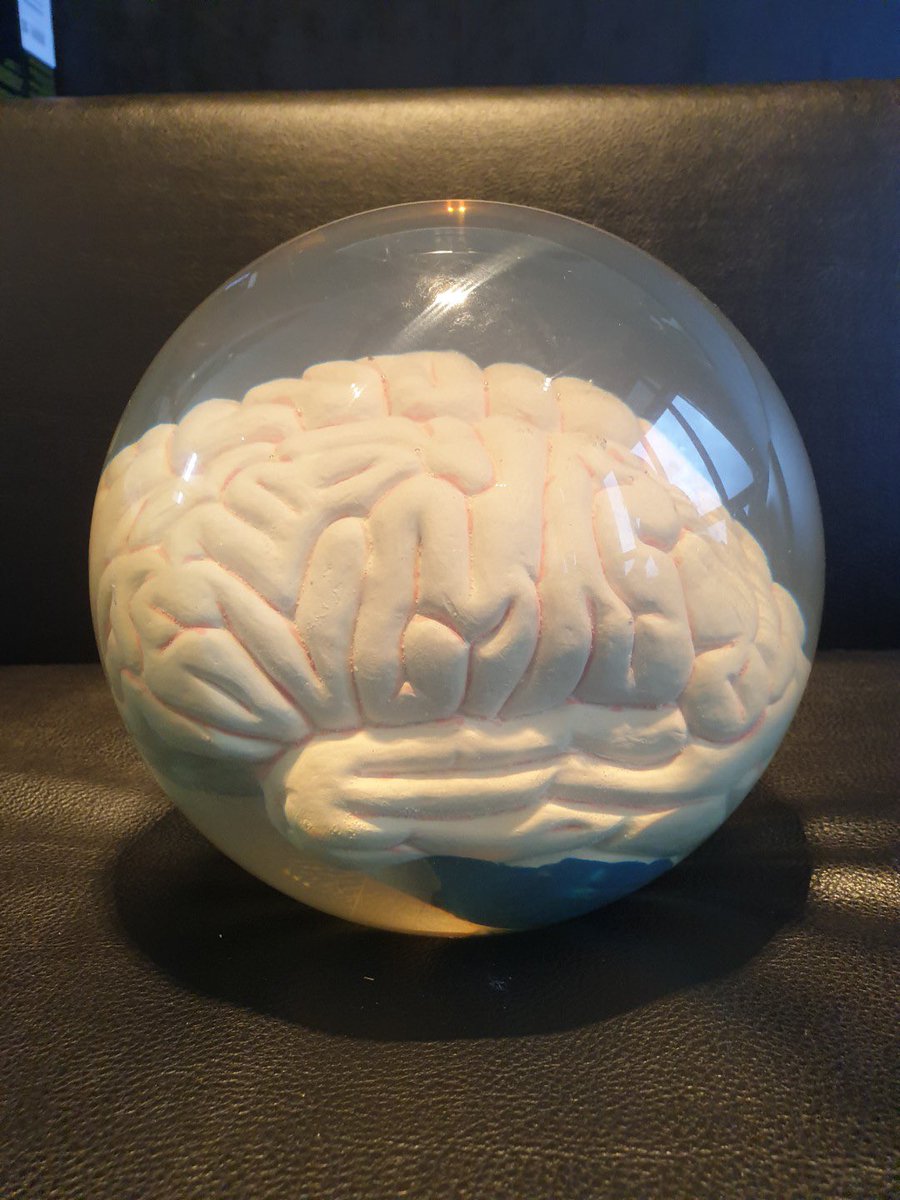 This is a real bowling ball. 🧠🎳
<a href="/Storm_Nation/">Storm Bowling Products</a>