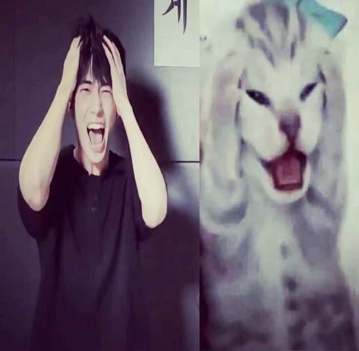 her sabah uyandığımda bambaşka bir içerik yayınlanıyor ve ??? şeklinde kalıyorum, yeonjun'un albüm hakkında konuştuğu zamana kadar da ??? şeklinde kalacağımı hissediyorum