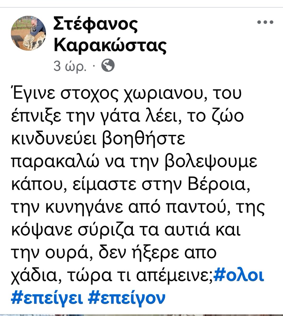 Christinalirou2's tweet image. Βέροια ‼️🆘‼️🆘‼️🆘‼️🆘‼️🆘‼️Έκκληση για βοήθεια φιλοξενία ή υιοθεσια για να σωθεί το σκυλί. Αν υπάρχει κάποιος εκεί κοντά για να βοηθήσει. Ο άνθρωπος το κοινοποίησε fb στον λογαριασμό του. Μόνο εκεί απευθυνθείτε. Κοινοποιούμε 🏡🐕✌️