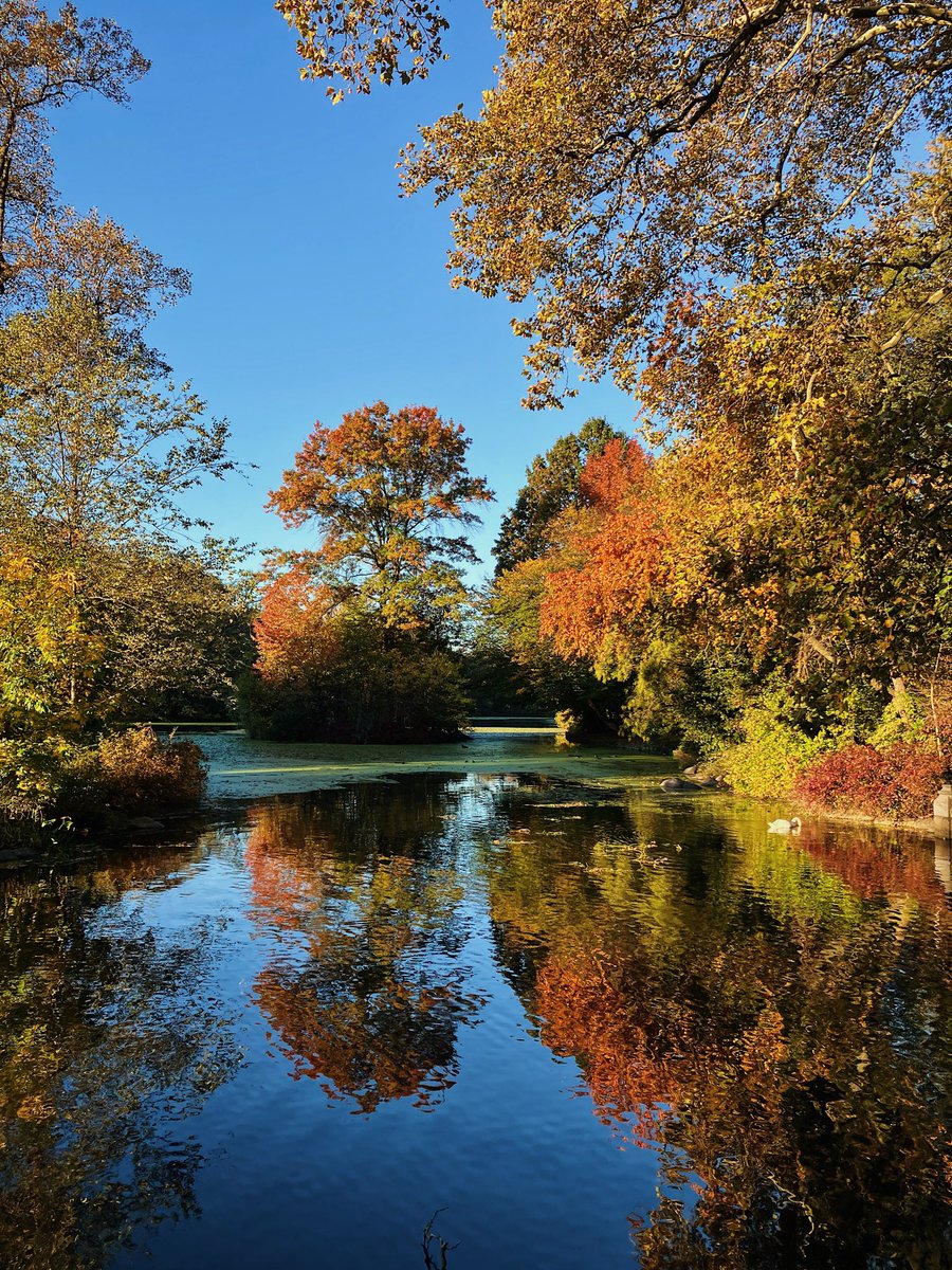Good morning from Brooklyn ✨