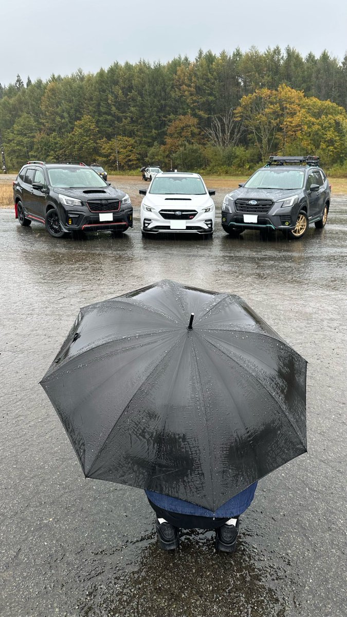 lemon_forester's tweet image. がなとりを