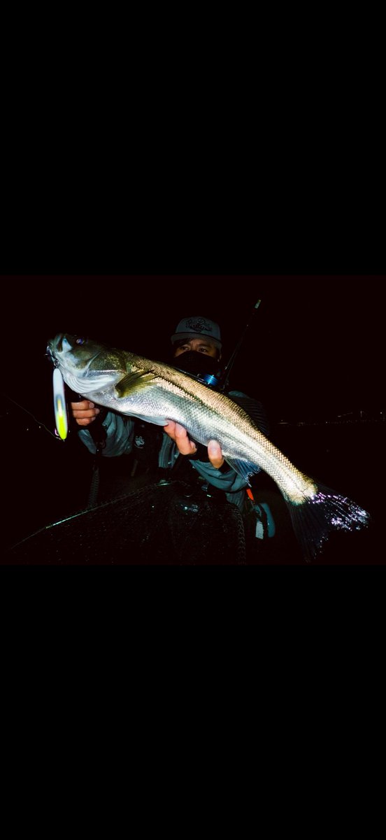 サーフェイスジョーズ　俺だ俺だルアー　夜光 サーフェイスジョーズ 俺だ俺だルアー 夜光 - メルカリ