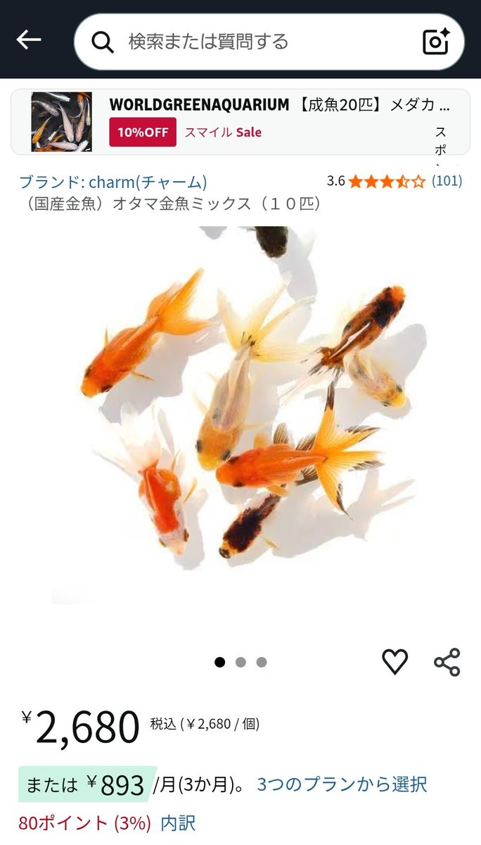 金魚 魚 フィッシュ ロングフィン ゴールド 置物 143-138-004 金魚 魚 フィッシュ ロングフィン ゴールド 置物 143-138-004 Amazon